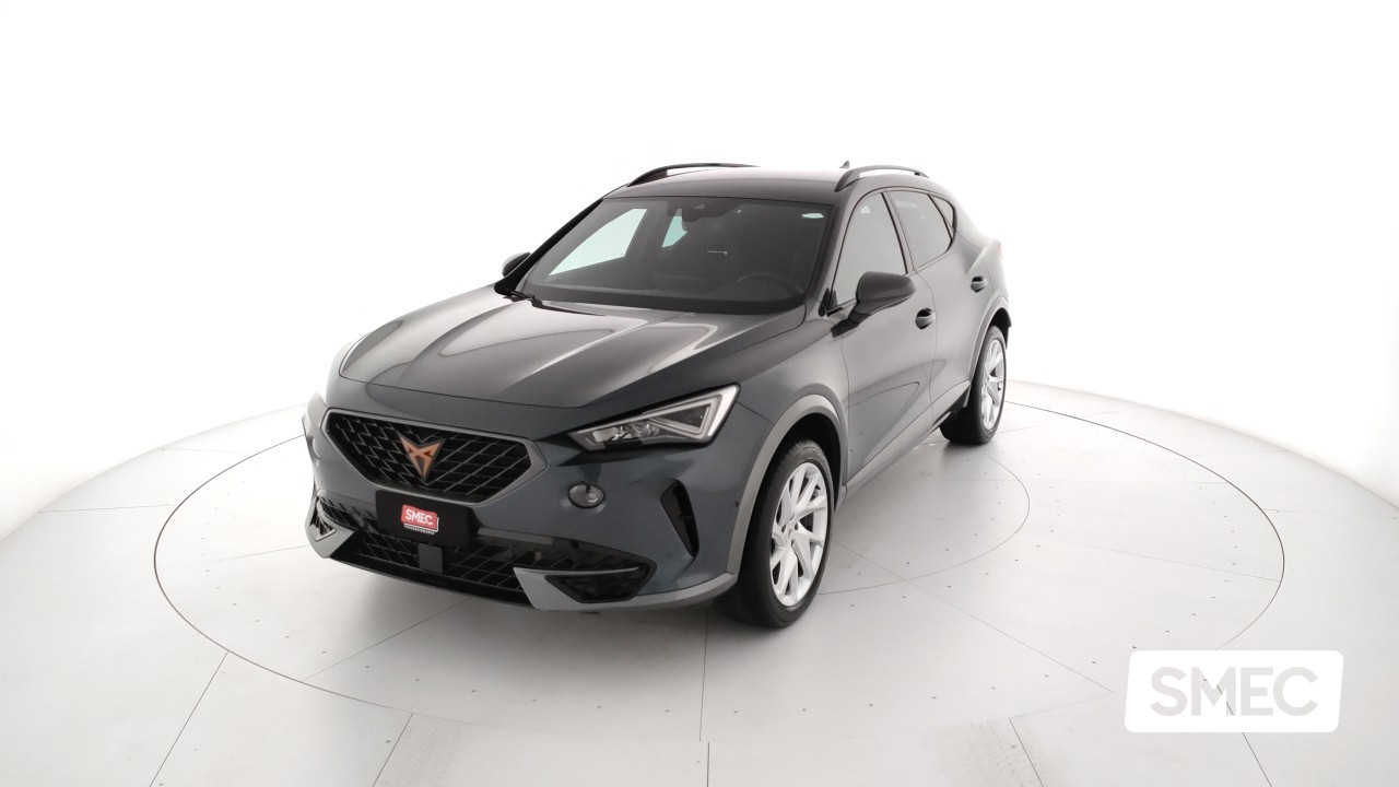 Cupra Formentor 2.0 TDI 4Drive